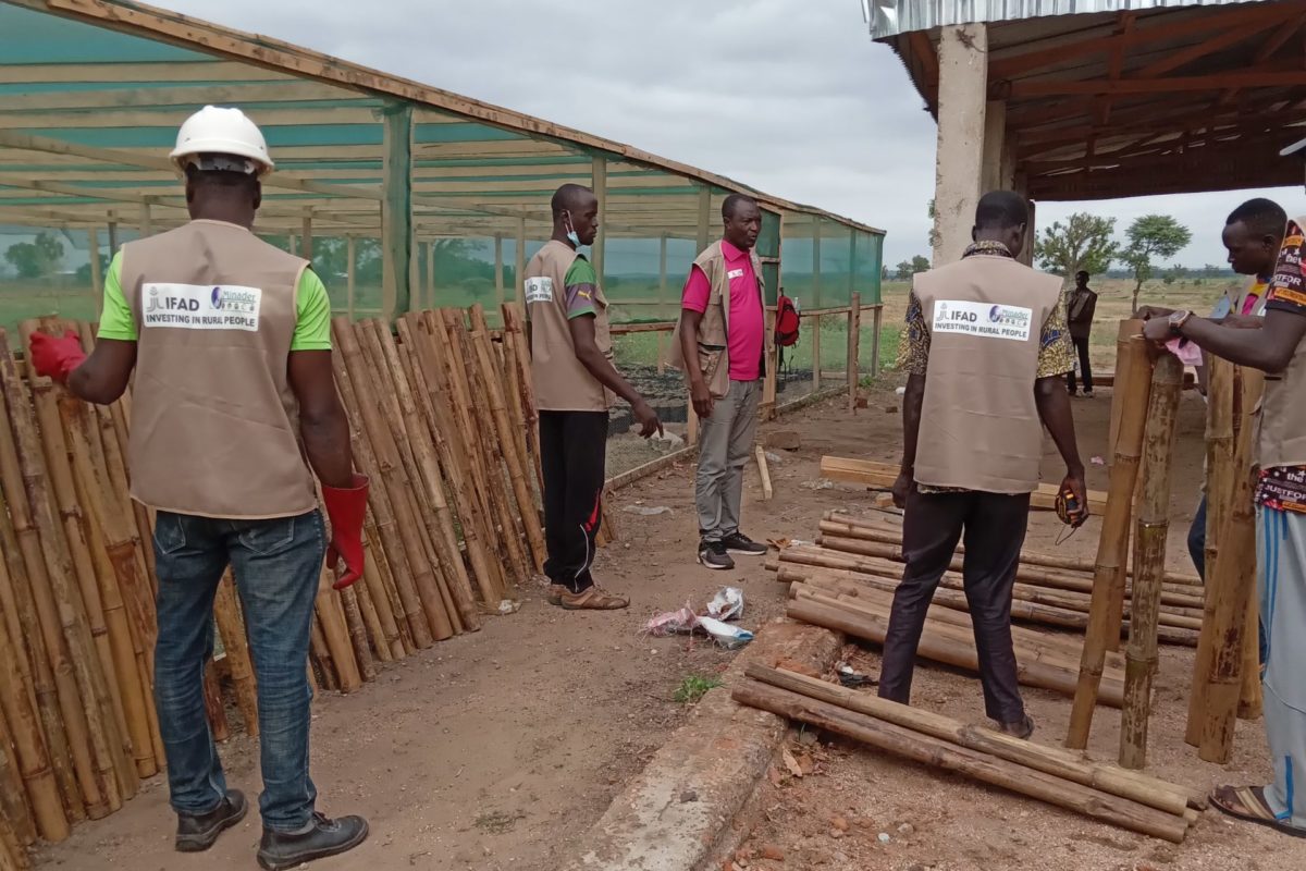 INBAR AUX COOPERATIVES DU PADFA II DU NORD : « TOUT EST BON DANS LE BAMBOU ! »