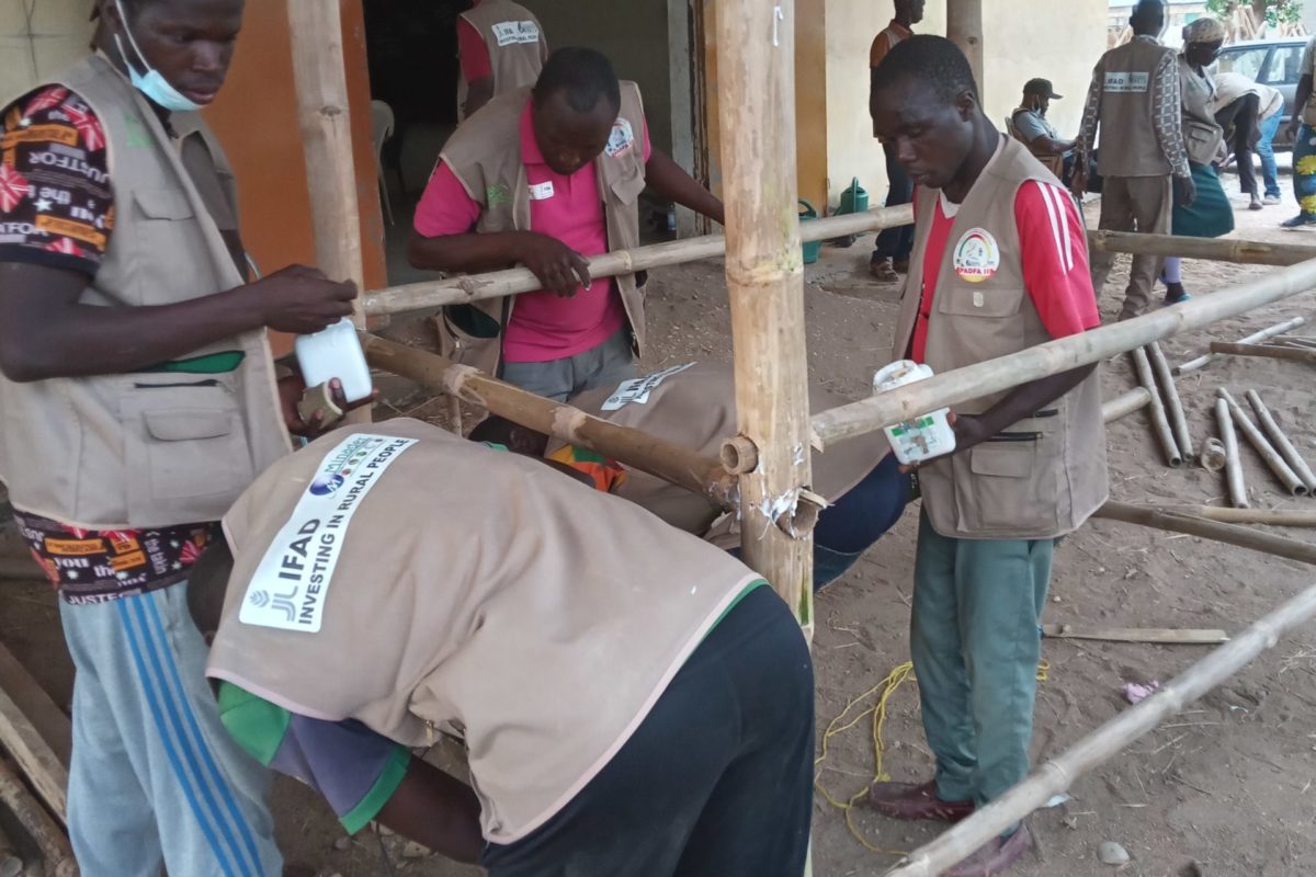 FORMATION PRATIQUE DES COOPÉRATIVES AU BAMBOU À PITOA