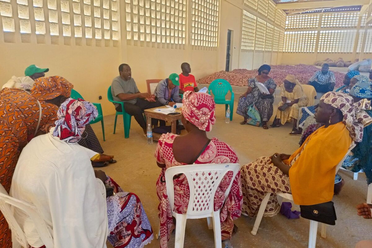 JARDINS COLLECTIFS : LA COOPÉRATIVE DEMRI TIGNERE (NGONG, NORD) SE LANCE