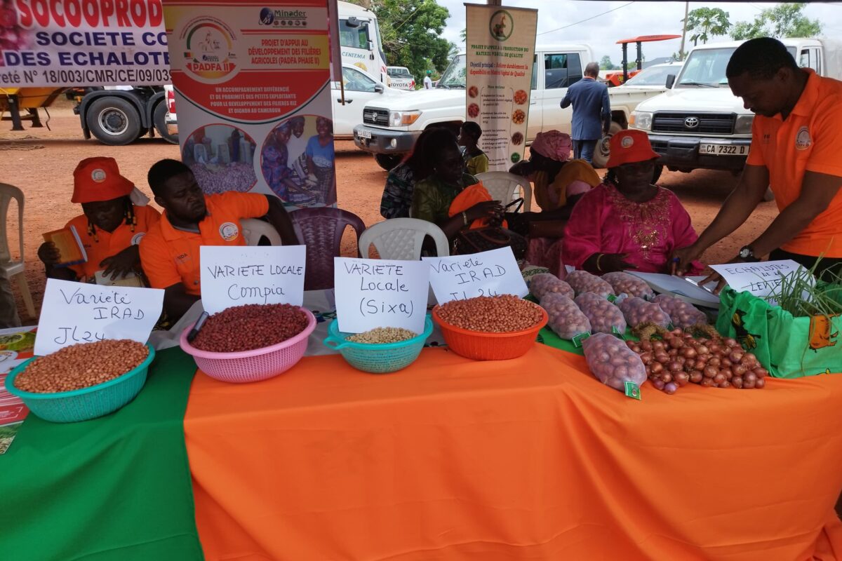 LES NOUVELLES FILIÈRES DU PADFA II EN VITRINE À DIMAKO