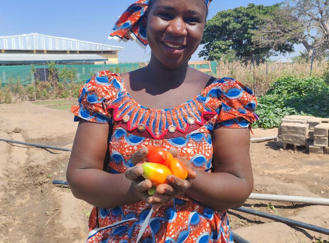 PROJET « JARDINS COLLECTIFS » : LE PADFA II AU SERVICE DE LA SÉCURITÉ NUTRITIONNELLE ET DE L’AUTONOMISATION DES FEMMES DANS LE SEPTENTRION
