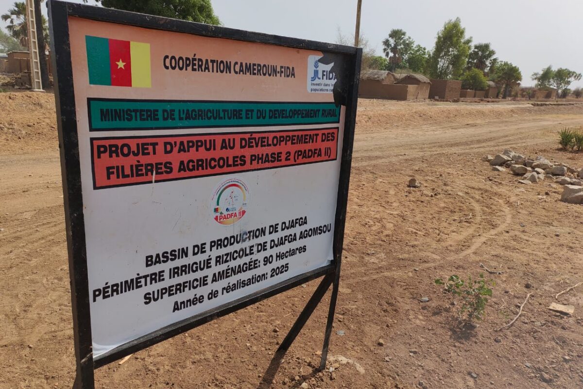 RÉCEPTION DES AMÉNAGEMENTS HYDROAGRICOLES (AHA) DE DJAFGA ET DAMA (Mayo-Danay)